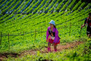 BIB: 2074
                            <button type="button" onclick="openModal(19162806)" class="btn btn-primary btn-sm float-right btn-popup" data-toggle="modal" data-target=".modal-high-quality">
                        <i class="fas fa-shopping-cart"></i> Add to Cart
                    </button>
                                            <button type="button" onclick="isThisMe(19162806, true)" class="btn btn-success btn-sm float-right btn-popup btn-isme hidden" data-toggle="tooltip" data-placement="bottom" title="นี่คือรูปของคุณใช่ไหม คลิกที่นี่เพื่อเอาเข้าอัลบั้ม">
                        <i class="fas fa-plus"></i> Add to album
                    </button>
                    <button type="button" onclick="isThisMe(19162806, false)" class="btn btn-warning btn-sm float-right btn-popup btn-isnotme hidden">
                        <i class="fas fa-ban"></i> Remove from album
                    </button>